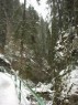 Thumbs/tn_040110-024.jpg