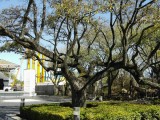 Thumbs/tn_C12150.jpg