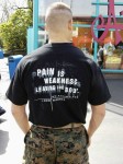 Thumbs/tn_C19017.jpg
