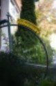 Thumbs/tn_bild8hs.jpg
