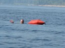 Thumbs/tn_Img_0089.jpg