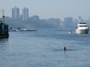 Thumbs/tn_Img_0094.jpg