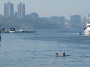 Thumbs/tn_Img_0095.jpg