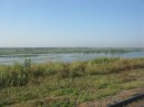 Thumbs/tn_Img_0140.jpg