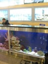 Thumbs/tn_Img_0489.jpg