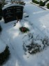 Thumbs/tn_Img_0094.jpg