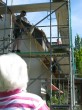Thumbs/tn_2012_05_26_001.jpg
