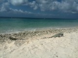 Thumbs/tn_S2015_01_27_013.jpg