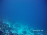 Thumbs/tn_U2015_01_28_007.jpg