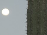 Thumbs/tn_2015_02_01_023.jpg