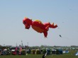 Thumbs/tn_2016_05_08_010.jpg