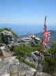 Thumbs/tn_2016_12_31_051.jpg