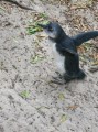 Thumbs/tn_2017_01_02_029.jpg