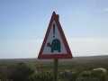 Thumbs/tn_2017_01_02_072.jpg