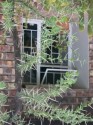 Thumbs/tn_2017_01_05_019.jpg