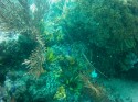 Thumbs/tn_2017_01_08_018.jpg