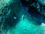 Thumbs/tn_2017_01_12_013.jpg