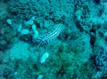 Thumbs/tn_2017_01_12_016.jpg