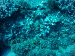 Thumbs/tn_2017_01_12_025.jpg
