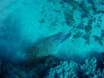 Thumbs/tn_2017_01_12_037.jpg