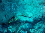 Thumbs/tn_2017_01_12_044.jpg