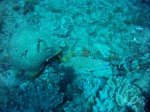 Thumbs/tn_2017_01_12_045.jpg