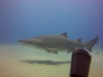 Thumbs/tn_2017_01_12_059.jpg