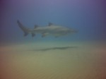 Thumbs/tn_2017_01_12_063.jpg