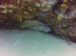 Thumbs/tn_2017_01_12_066.jpg