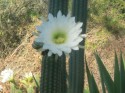 Thumbs/tn_2017_01_09_004.jpg
