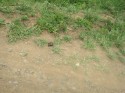 Thumbs/tn_2017_01_11_017.jpg