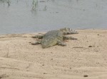 Thumbs/tn_2017_01_15_073.jpg