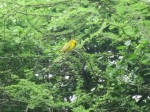 Thumbs/tn_2017_01_15_117.jpg