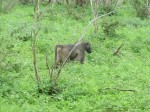 Thumbs/tn_2017_01_15_147.jpg