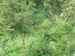 Thumbs/tn_2017_01_15_149.jpg