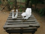 Thumbs/tn_2017_01_15_162.jpg