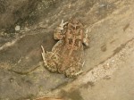 Thumbs/tn_2017_01_17_036.jpg