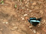 Thumbs/tn_2017_01_17_040.jpg