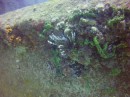 Thumbs/tn_2017_05_20_010.jpg