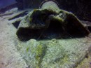 Thumbs/tn_2017_05_20_014.jpg