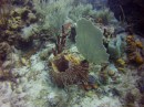 Thumbs/tn_2017_05_20_015.jpg