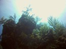 Thumbs/tn_2017_05_20_019.jpg
