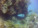 Thumbs/tn_2017_05_20_020.jpg