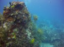 Thumbs/tn_2017_05_20_034.jpg