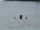 Thumbs/tn_2017_05_19_089.jpg