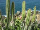 Thumbs/tn_2017_05_19_096.jpg