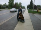 Thumbs/tn_2017_05_26_031.jpg