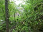 Thumbs/tn_2017_05_26_006.jpg