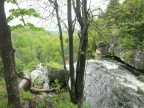 Thumbs/tn_2017_05_26_025.jpg