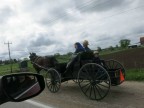 Thumbs/tn_2017_05_27_004.jpg